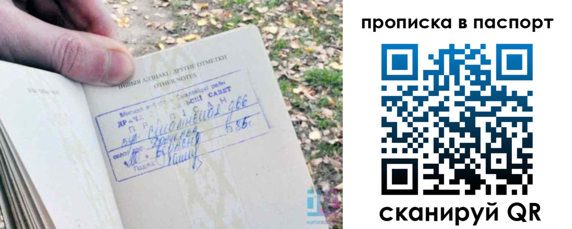 купить прописку в Сельцо